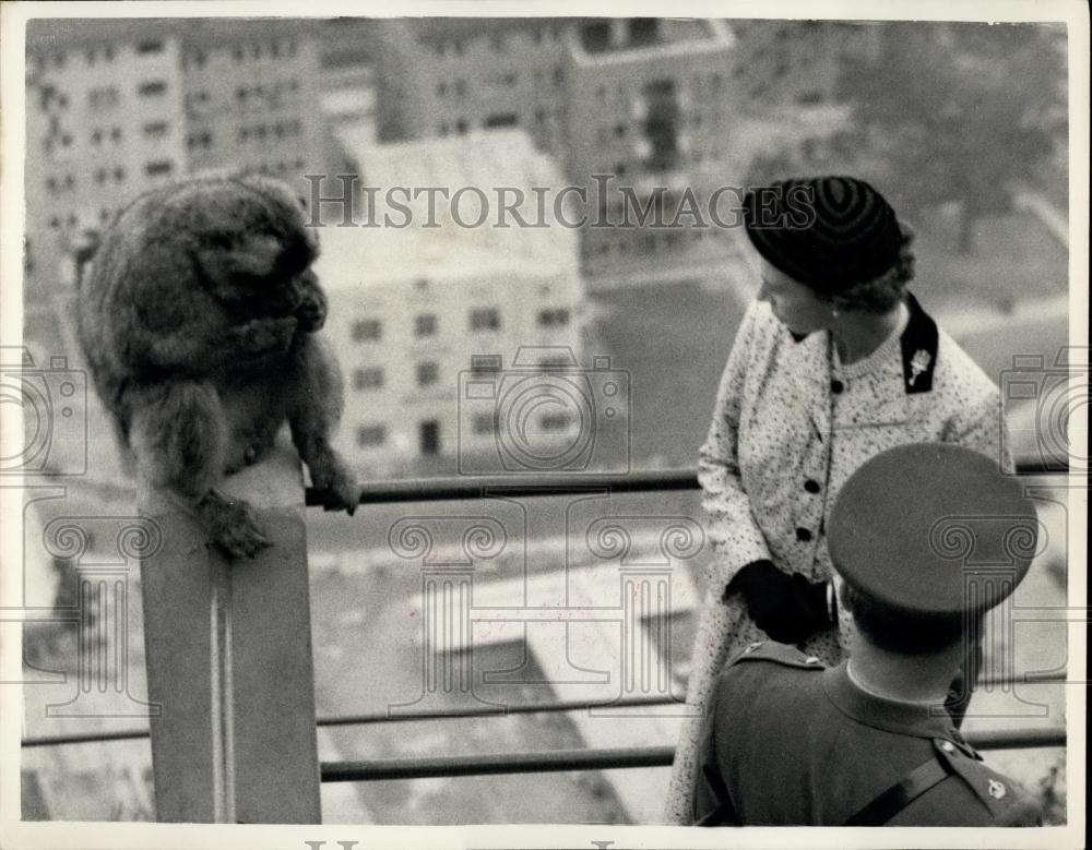 1954 Press Photo H.M. The Queen and a Barbary ape - Historic Images