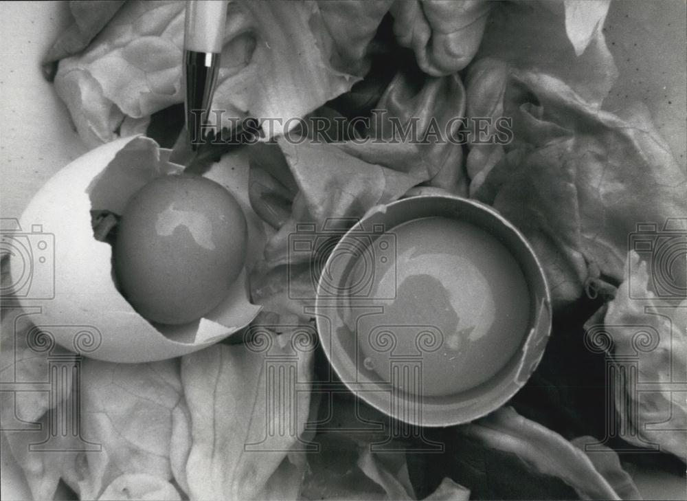 1985 Press Photo Guido Besomi of Tesserete, Switzerland, found an egg in egg - Historic Images