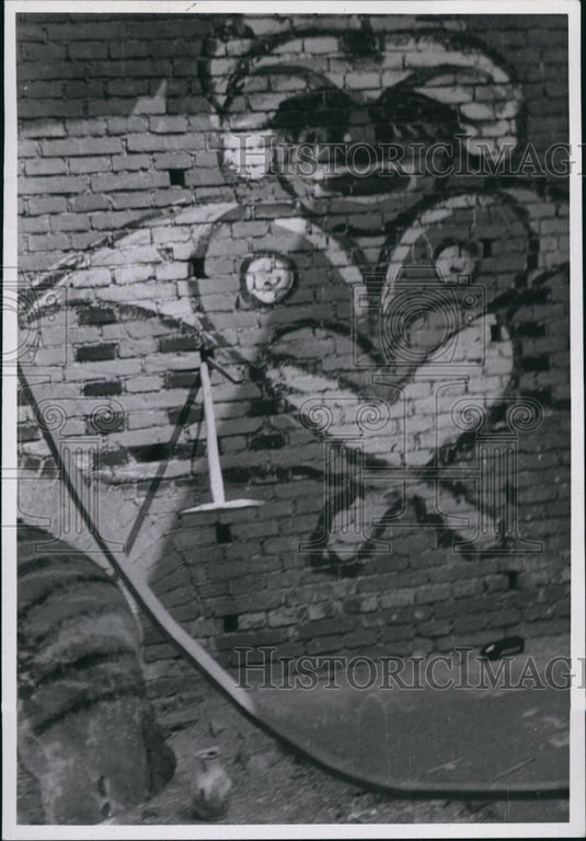 Press Photo Grafitti - Historic Images