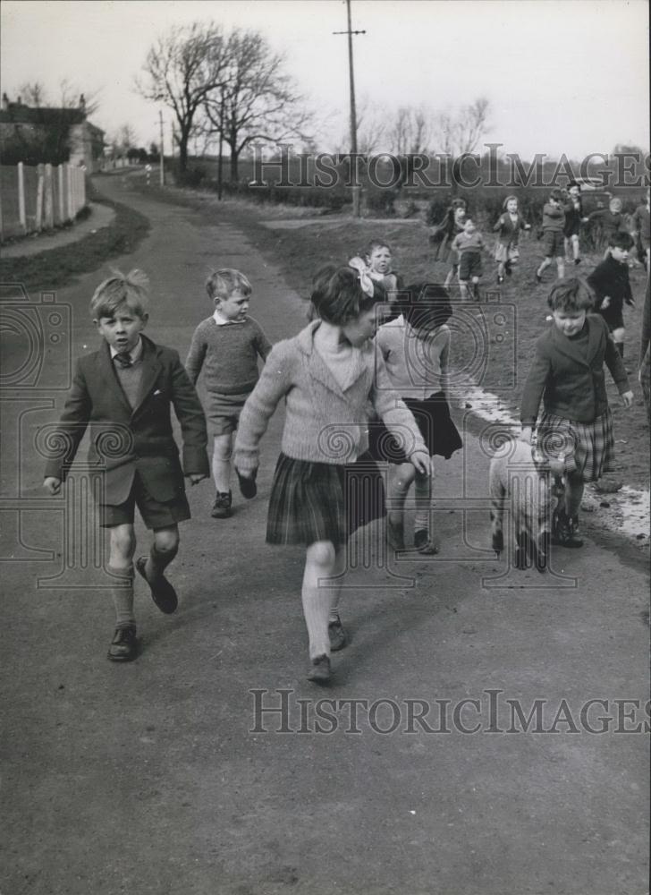 Press Photo Curly takes a walk - with escort - Historic Images