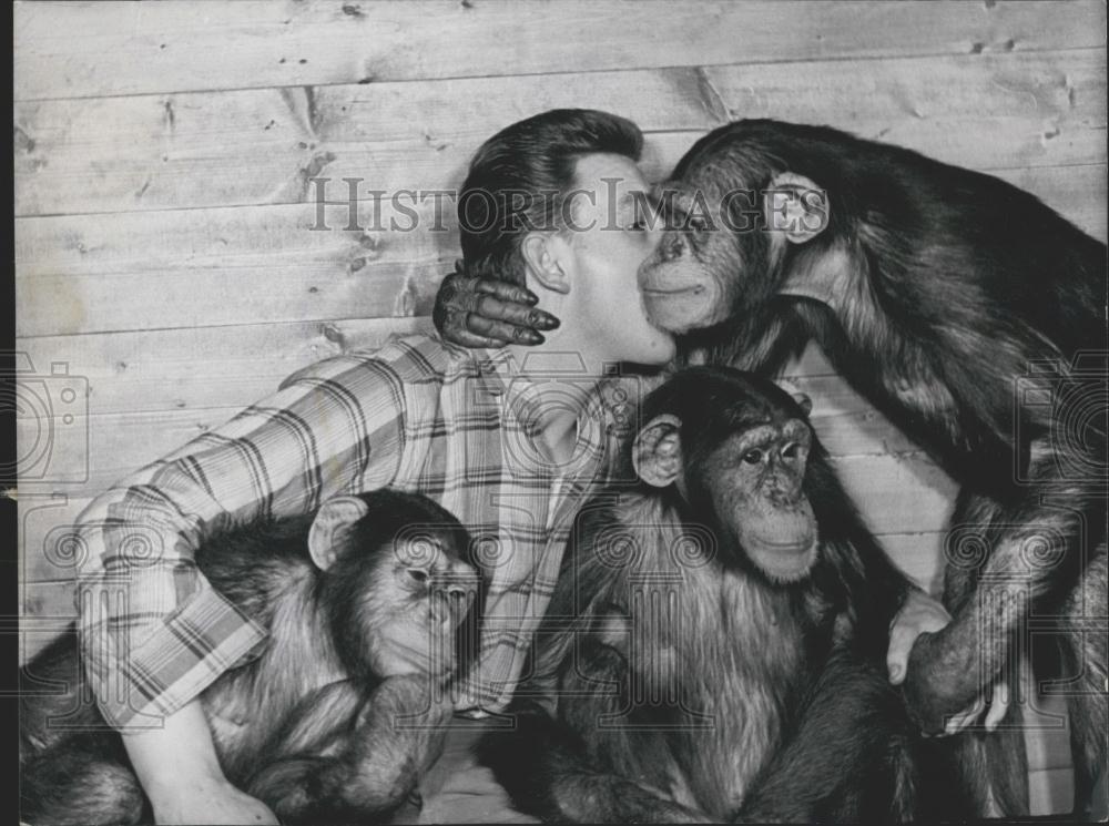 1958 Press Photo 3 Monkeys Coming From Congo to be Stars of Circus - Historic Images