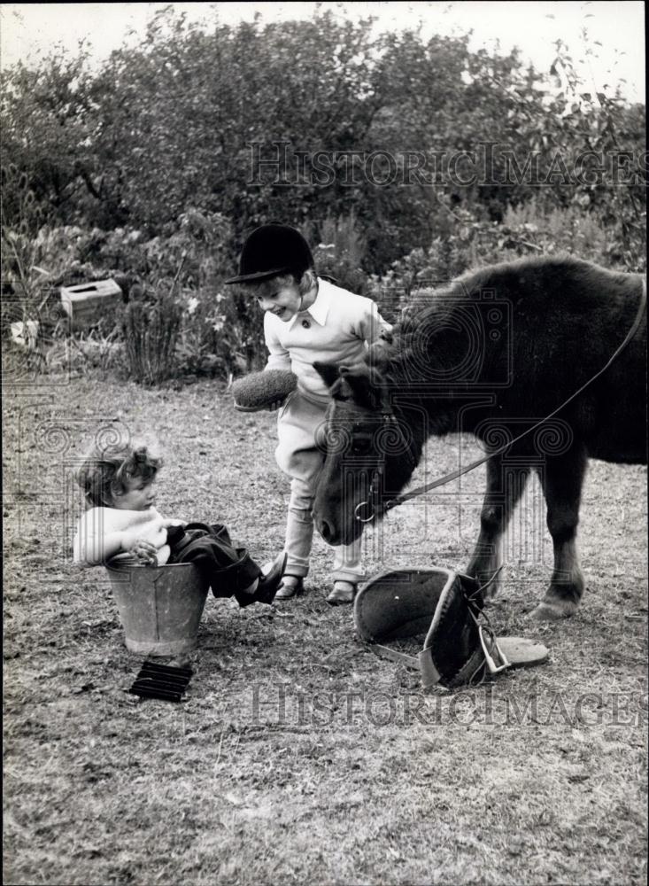 Press Photo 14-month-old Peter, wanted to help groom Susie, But fell in a bucket - Historic Images