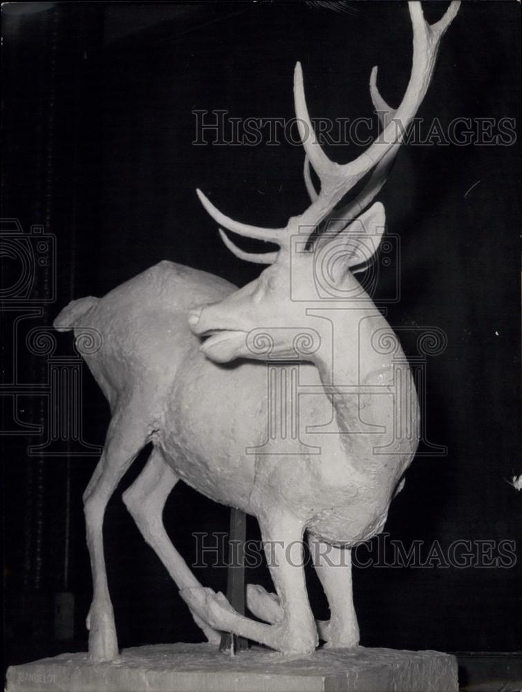 1957 Press Photo Sculptors Specialized In Animal Life Hold Exhibition - Historic Images