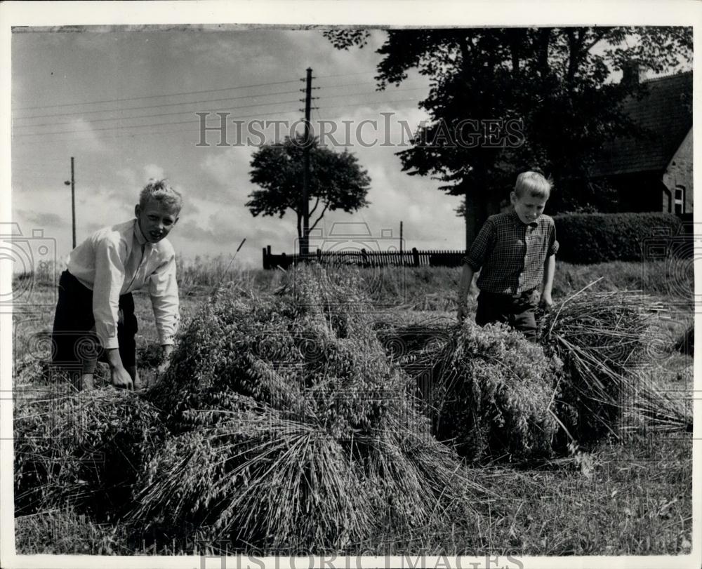 1953 Press Photo Prince Inglof and Prince Christian farm - Historic Images