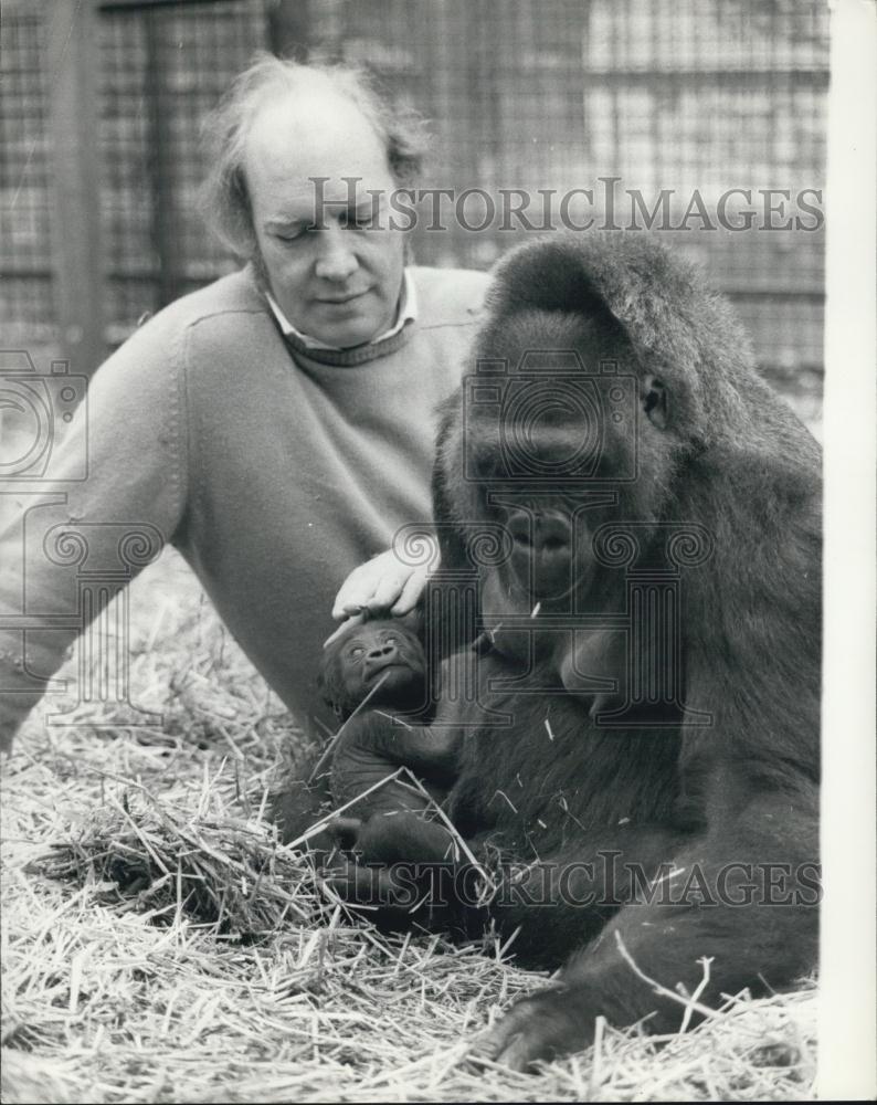 Press Photo Man and his Gorilla - Historic Images