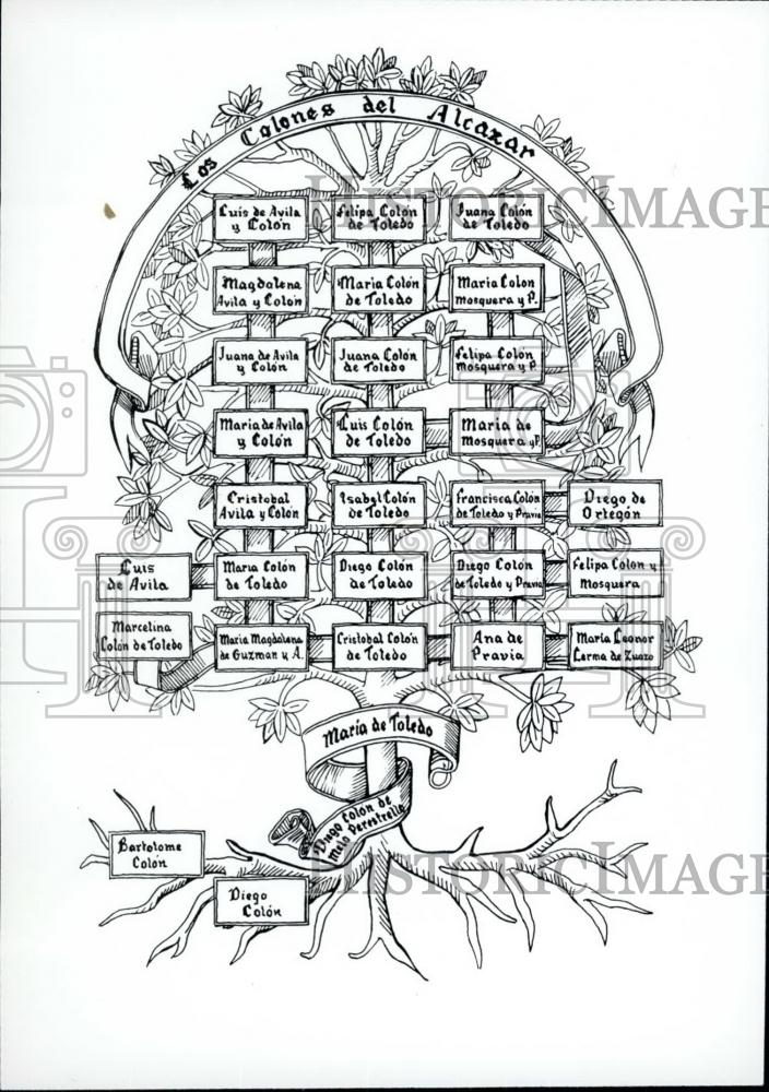 Press Photo Family Tree of the Columbus Family Exhibited-Alcazar Santa Domingo - Historic Images