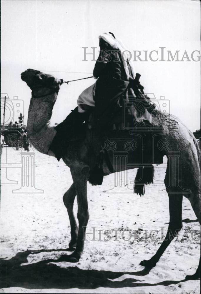 Press Photo Person riding camel back - Historic Images