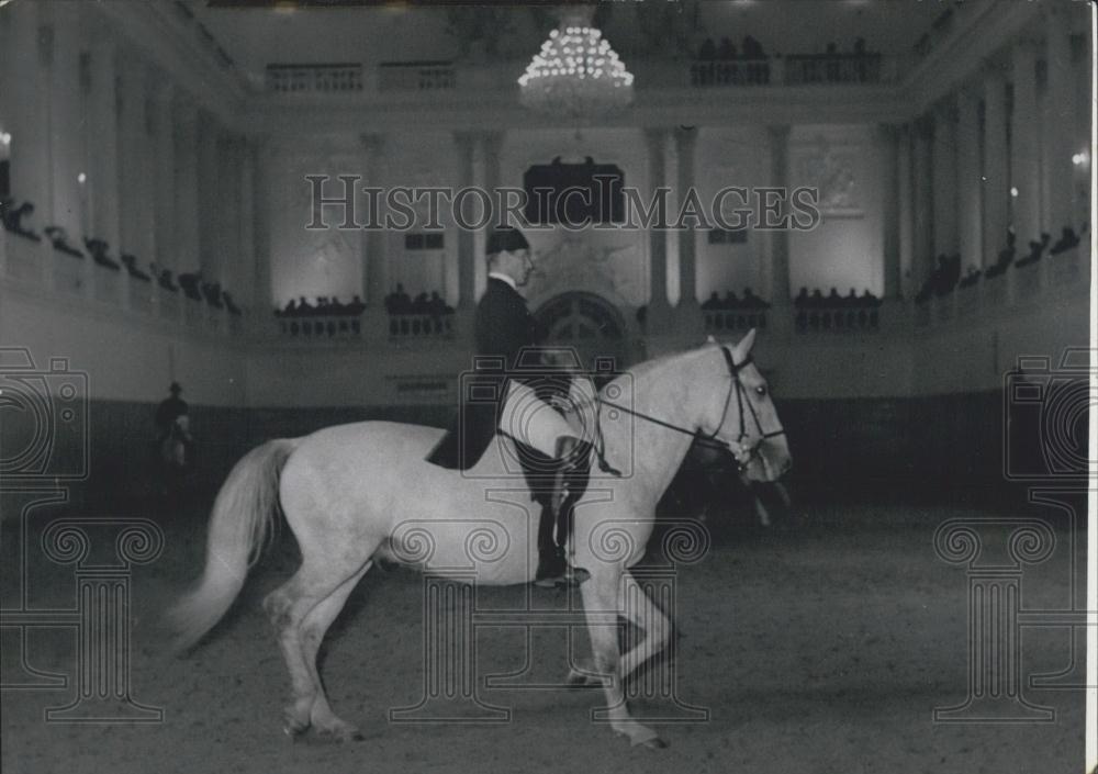 Press Photo Austria's Spanish Riding School in Vienna - Historic Images