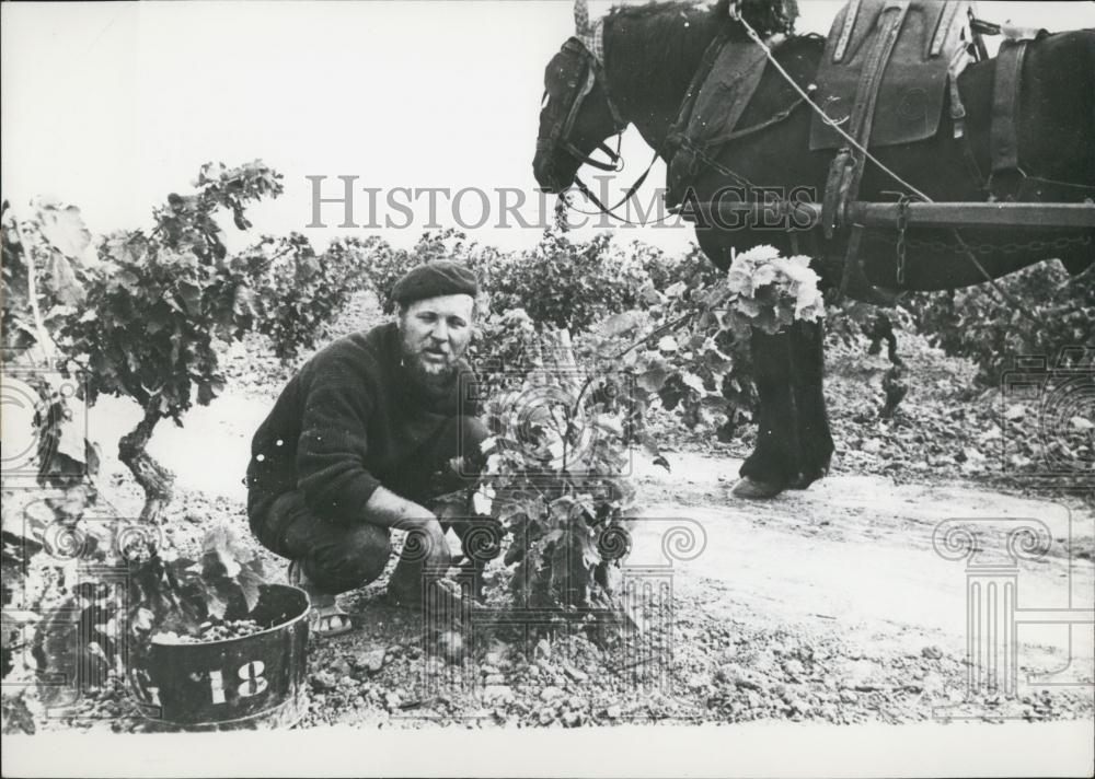 1958 Press Photo English Novelist,Jack Wilder - Historic Images