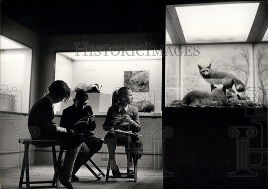 Press Photo Children Use Exhibits As Guides In Museum - Historic Images