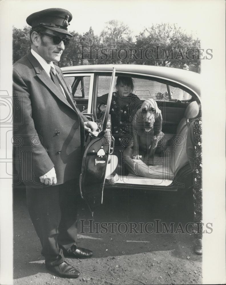 1969 Press Photo of TV star Henry the Bloodhound appearing at "Dog Walk" charity - Historic Images