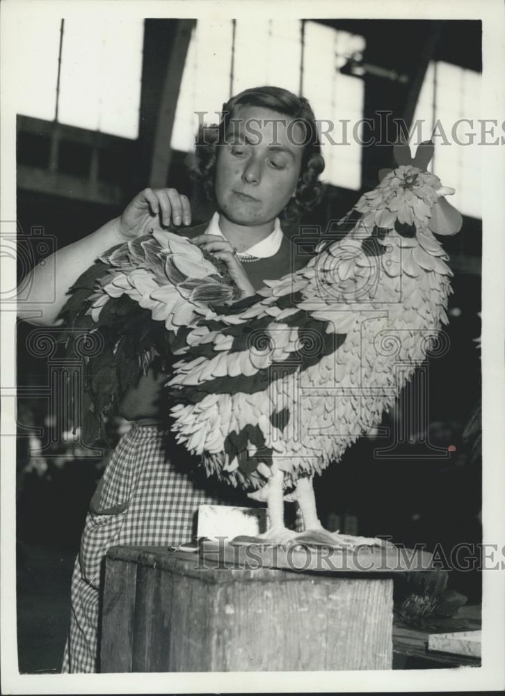 1956 Press Photo National Dahlia Society&#39;s show at the Royal Horticultural Hall - Historic Images