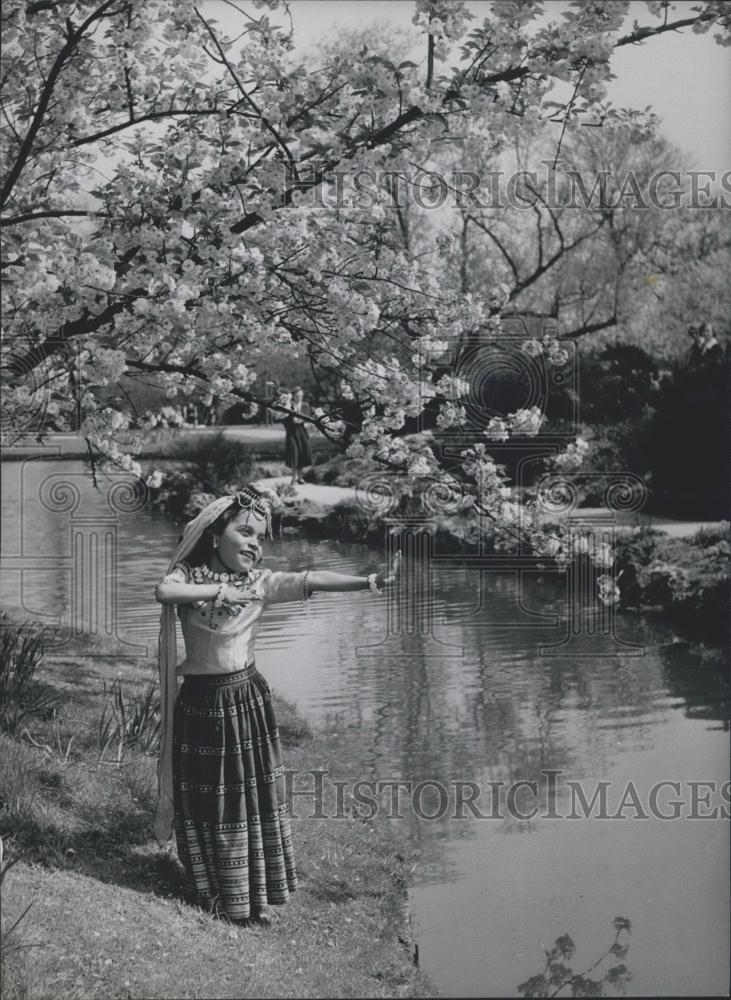 Press Photo Little Nargis Practicing Indian Dance Under Cherry Tree In Regent Pk - Historic Images