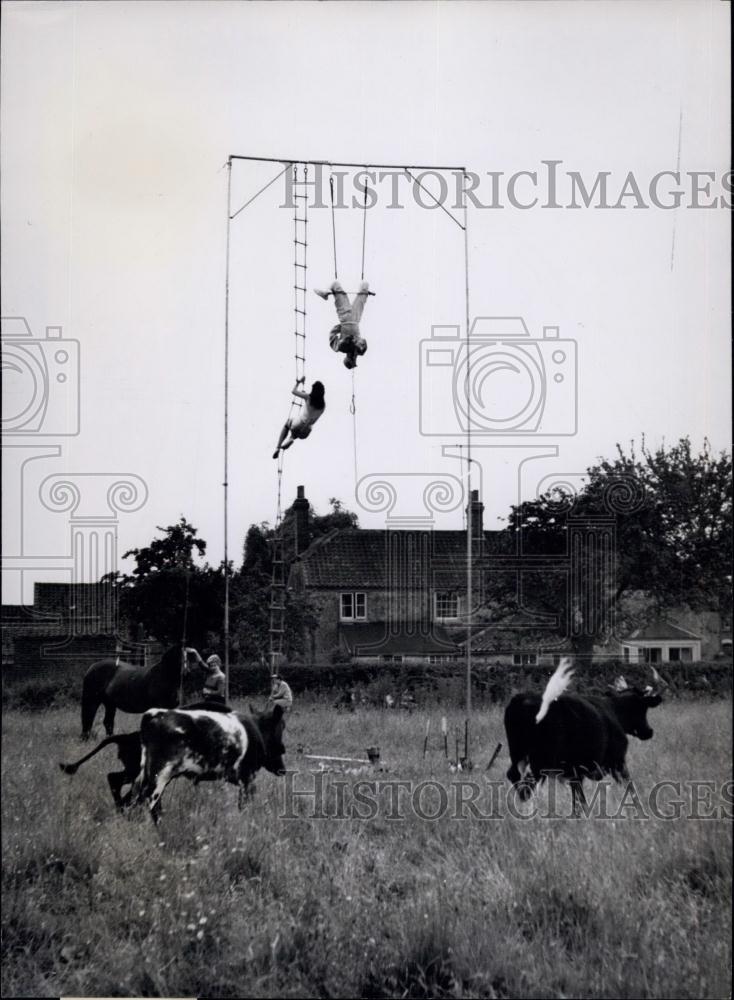 Press Photo Peter Brasnett Hangs from Trapeze - Historic Images