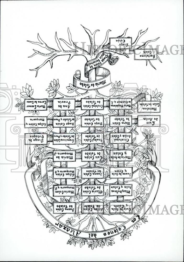 christopher columbus family tree