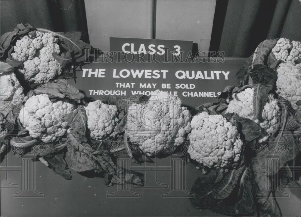 Press Photo Cauliflower Grade, Class 3 - Historic Images