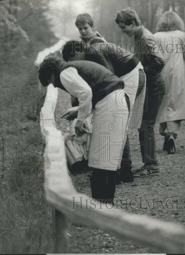 1982 Press Photo World Record 604 Meter Long Cream Cake - Historic Images