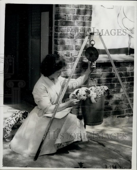 Press Photo Dog's Day - and for these small spotted charmers it's weigh-in day - Historic Images
