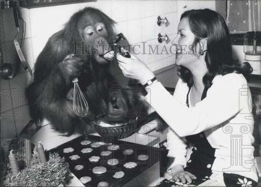 1970 Press Photo Sali Frankfurt Zoo Orangutan Helps Bake With Mrs. Klose - Historic Images