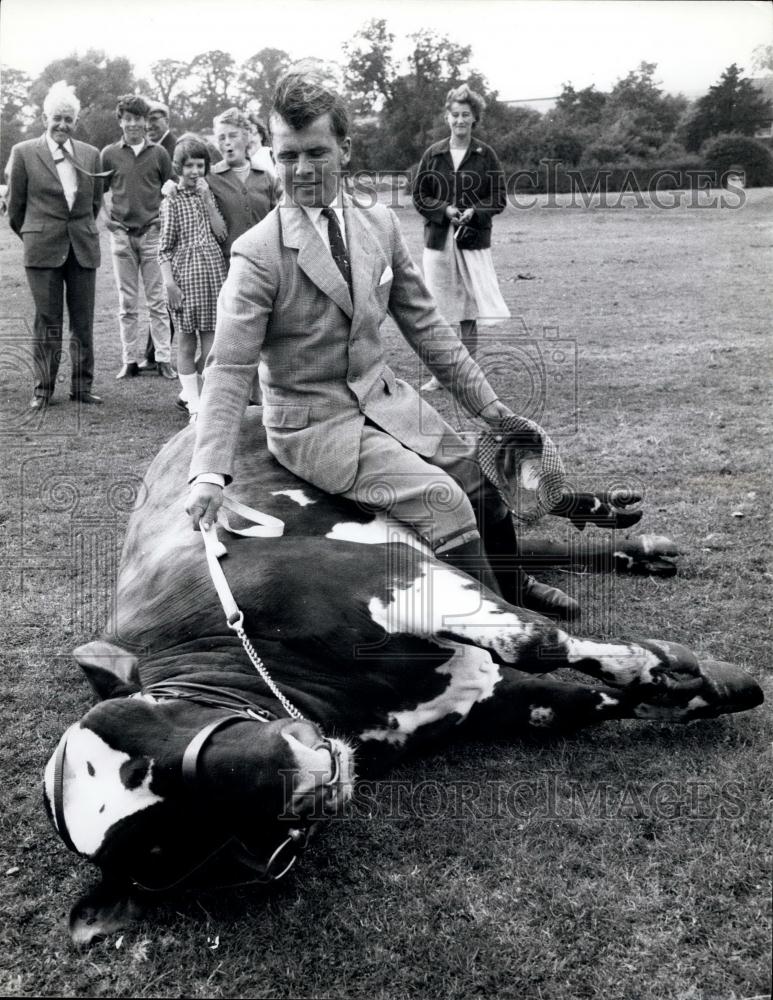 Press Photo Man sitting on a cow - Historic Images