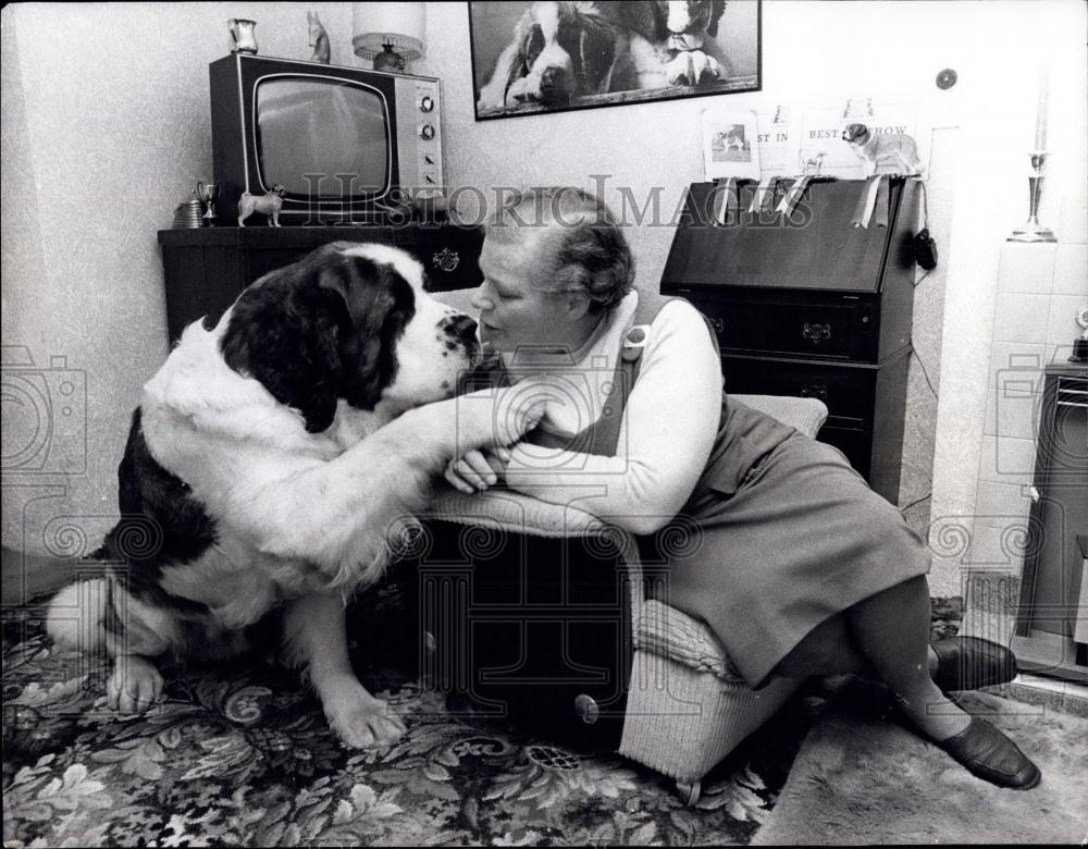 1974 Press Photo St. Bernard is Supreme Champion at Cruft&#39;s - Historic Images