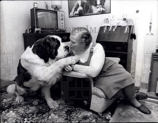 1974 Press Photo St. Bernard is Supreme Champion at Cruft's - Historic Images