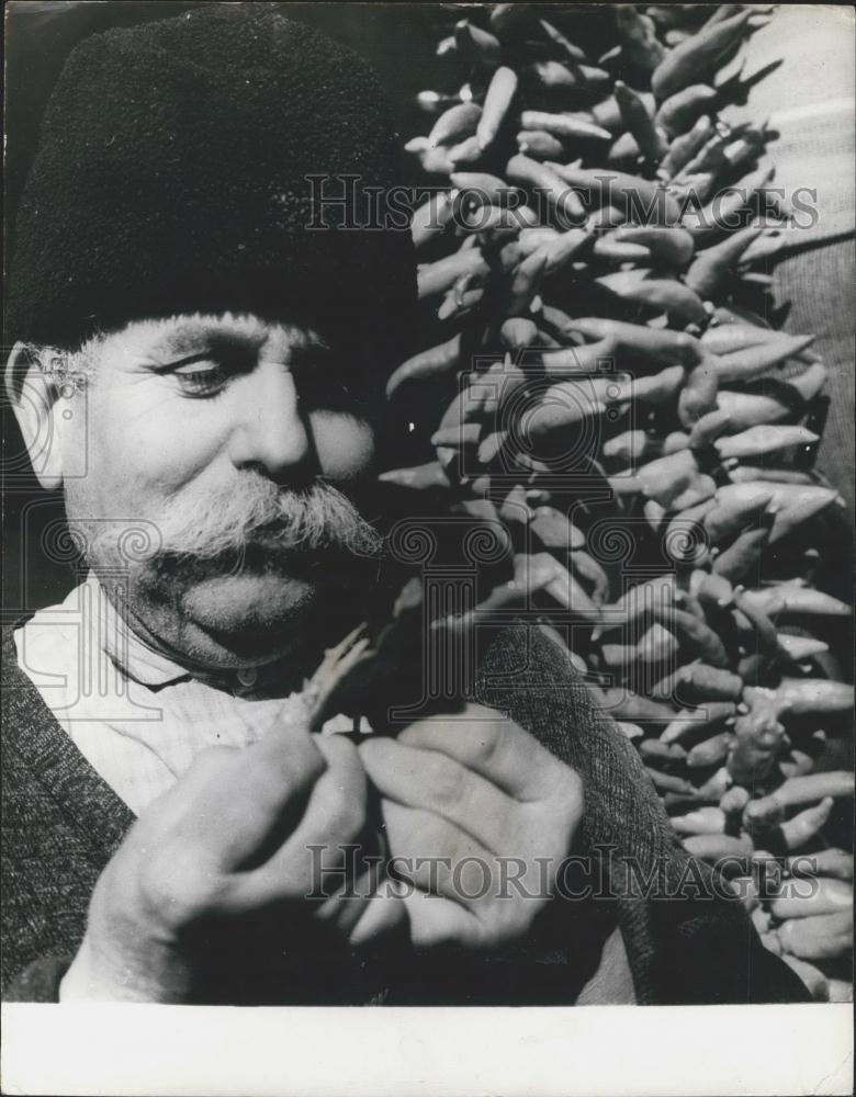 1965 Press Photo Hungarian Town of Kalocsa World Famous for its Paprika - Historic Images