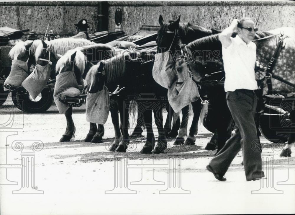 Press Photo Fiacre-carriages in Salzburg (Austia) - Historic Images