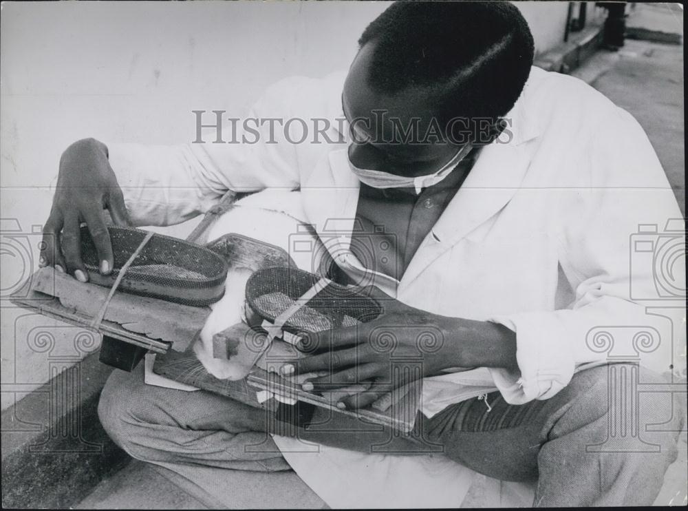 Press Photo Topical Insect Experiment at Icepe, Nairobi - Historic Images