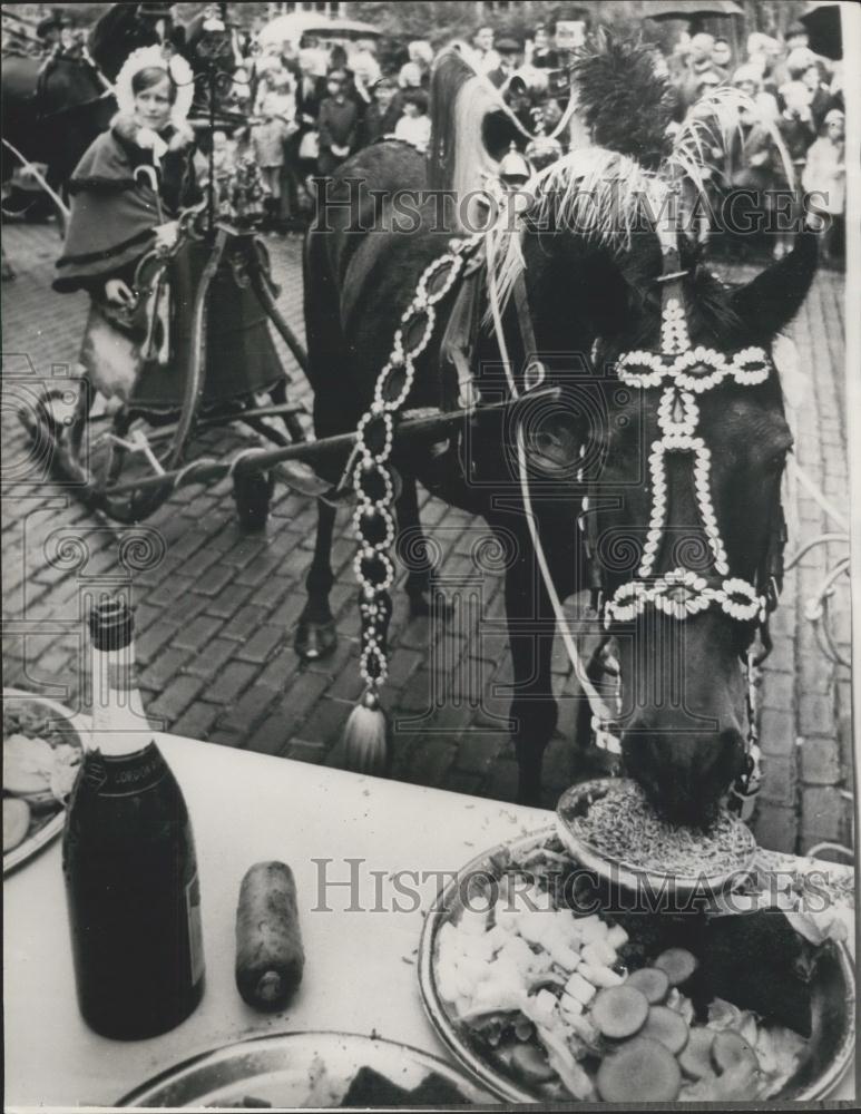 1966 Press Photo World Animal Day Horse Eating Food From Table Amsterdam - Historic Images