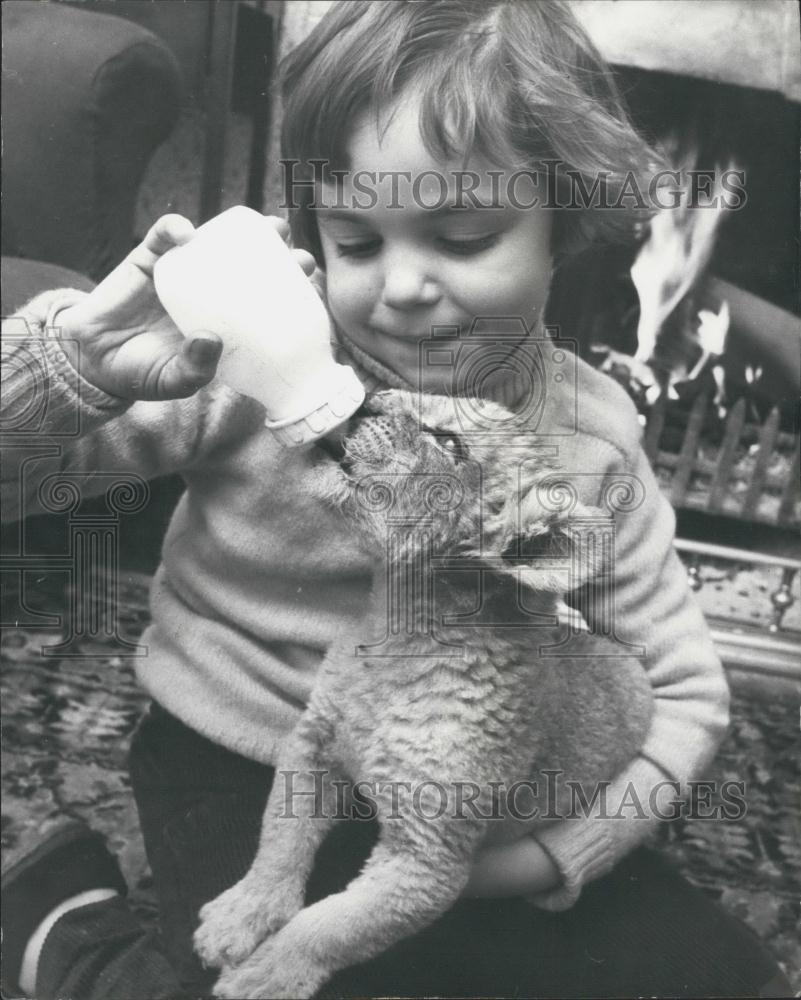 Press Photo Sally Anne gives bottle to pet lion cub - Historic Images