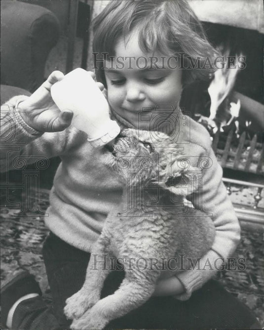Press Photo Sally Anne gives bottle to pet lion cub - Historic Images