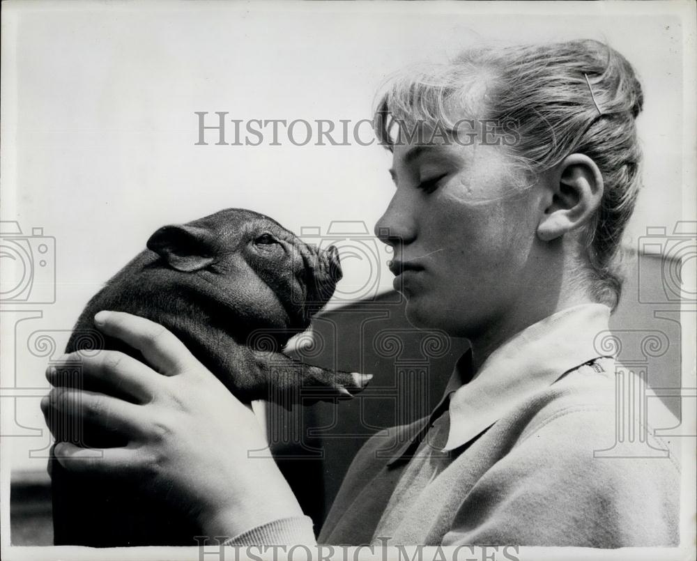 1962 Press Photo Topsy piglet London Zoo - Historic Images