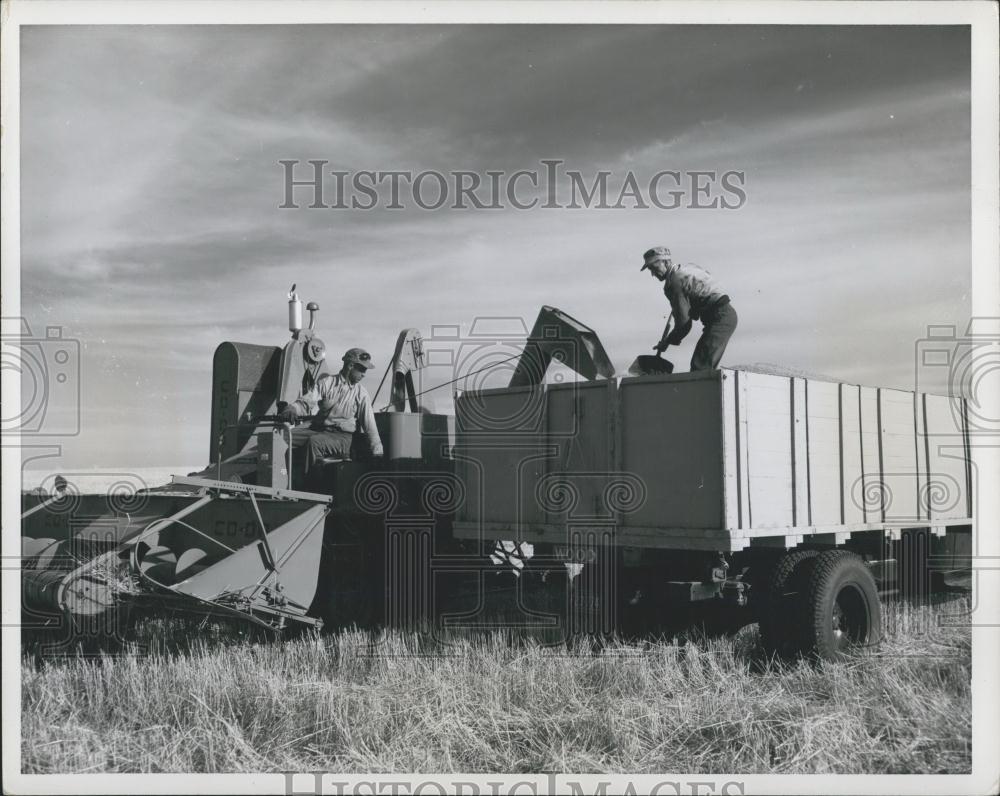 Press Photo Northern Canada - High Whitish brown Cliff west side of Milne Inlet, - Historic Images