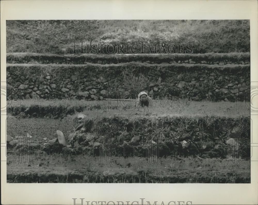 Press Photo Woman Farming In Yamano Japan - Historic Images