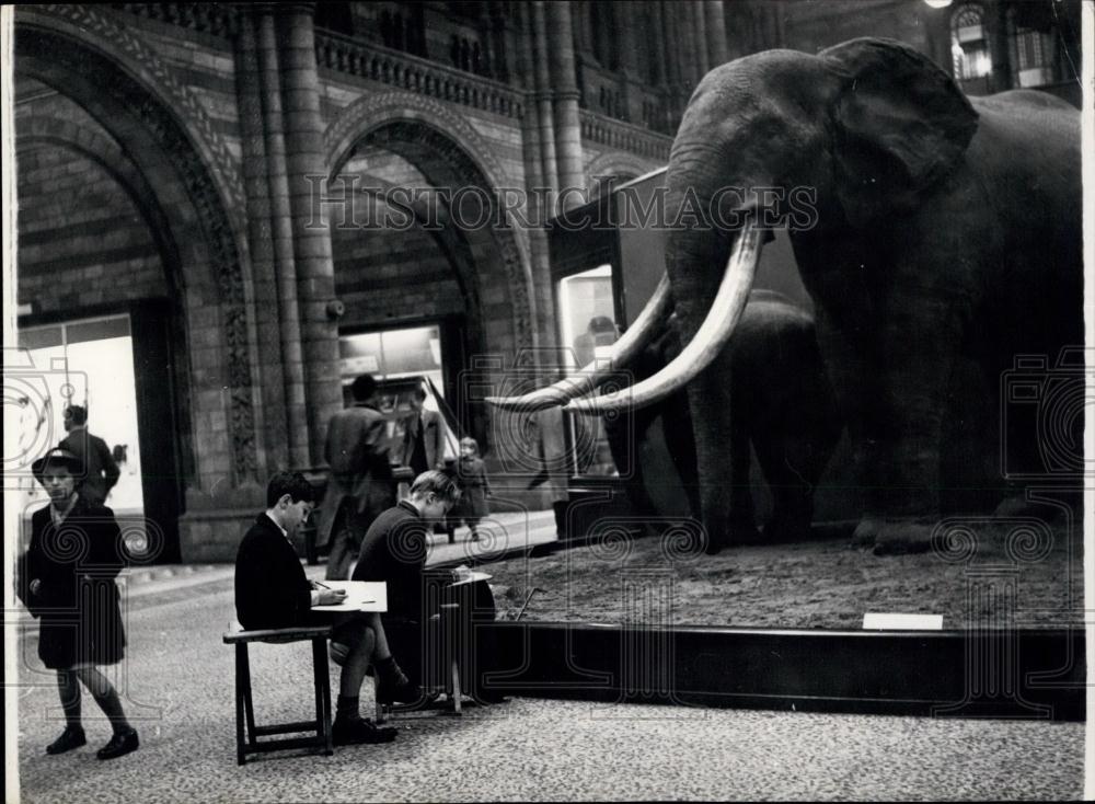 Press Photo Children at National History Museum On Saturday - Historic Images