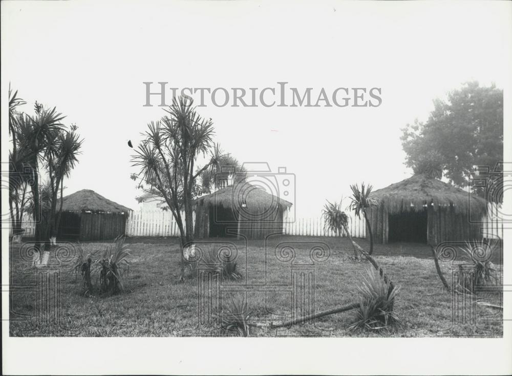 1974 Press Photo Brazilian Indian Tribes - Historic Images