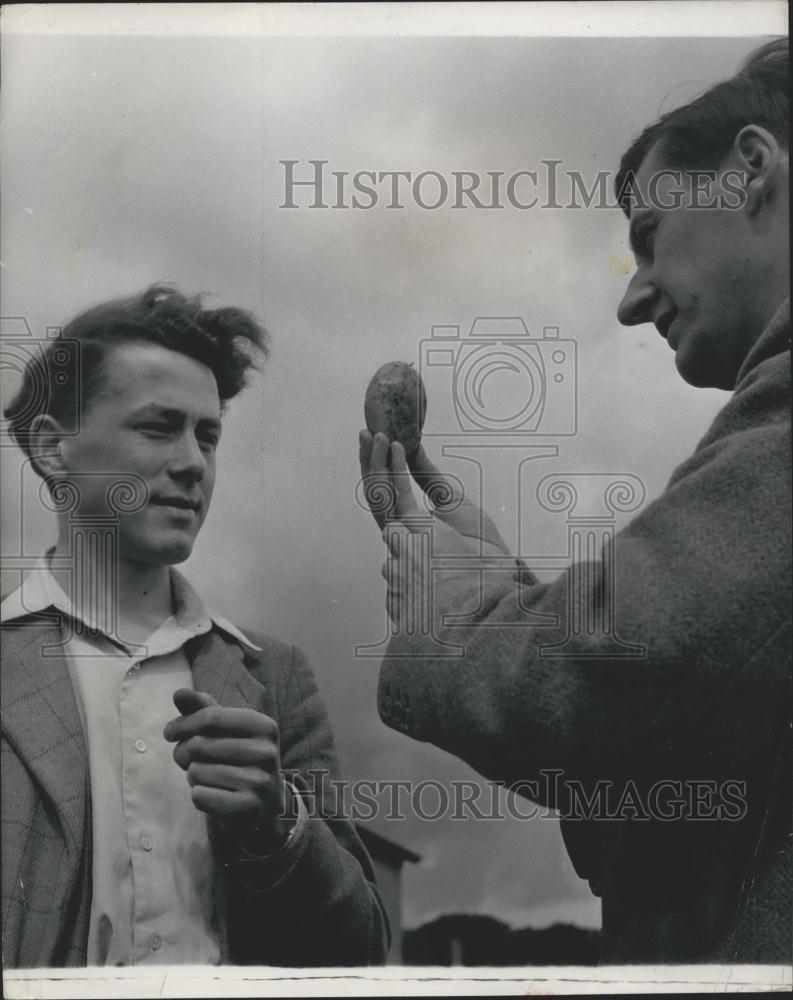 Press Photo AW MacArthur, DA Wilkins, Potato Research Workers - Historic Images