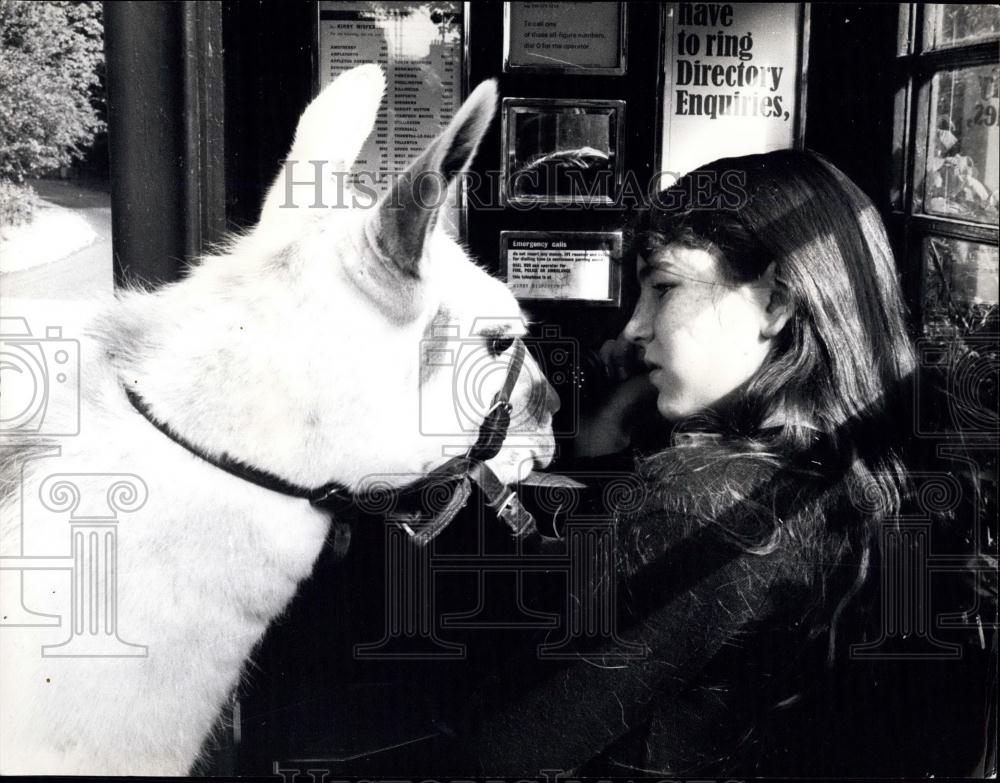 Press Photo Julie Cook and her llama - Historic Images