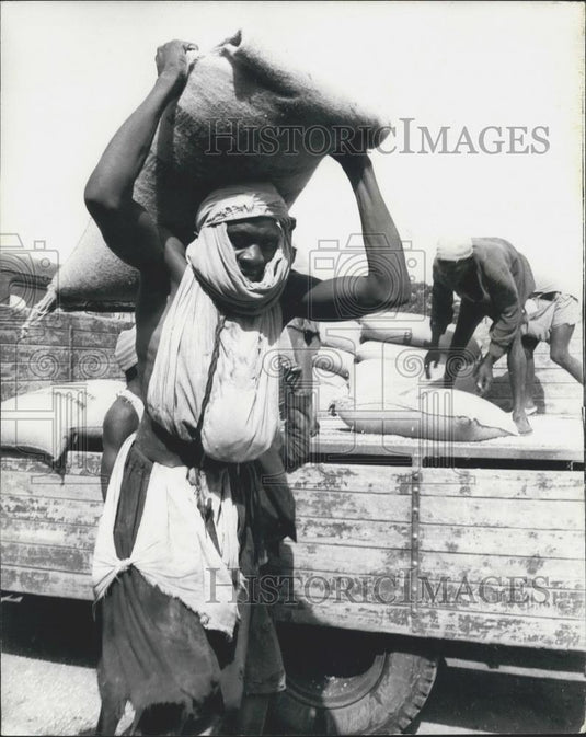 1973 Press Photo Drought-striken area of West Mali - Historic Images