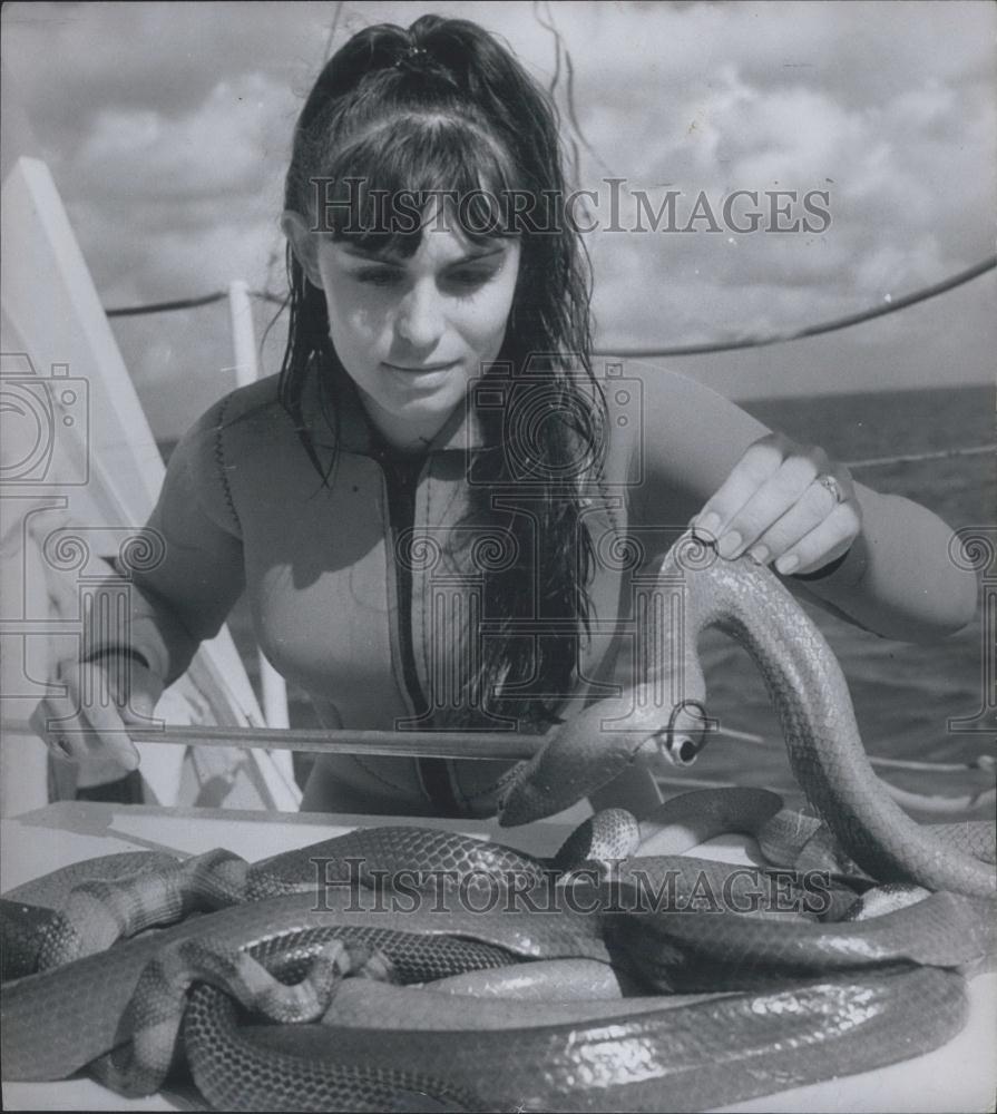 Press Photo Eva Papp inspects the days catch of live sea snakes - Historic Images
