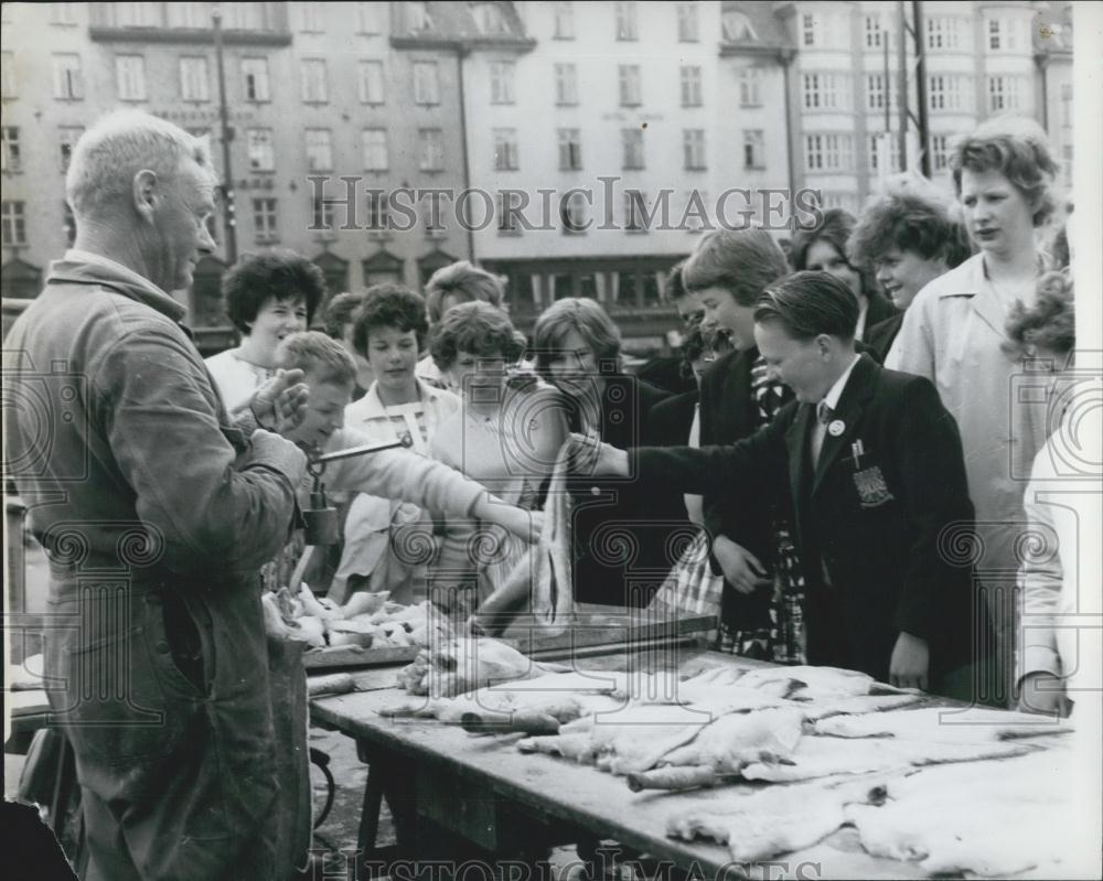 Press Photo Lovely Eels at a Bergan fish market - Historic Images