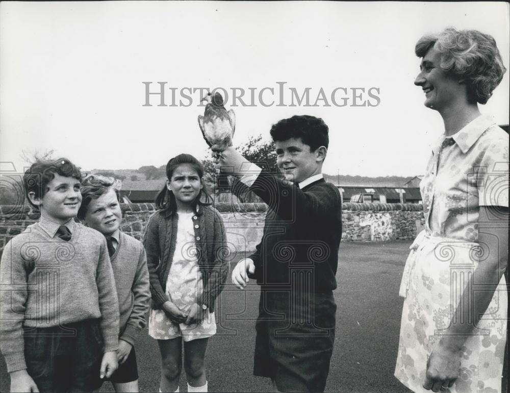 Press Photo Stuart and homing pigeon, Porcy - Historic Images