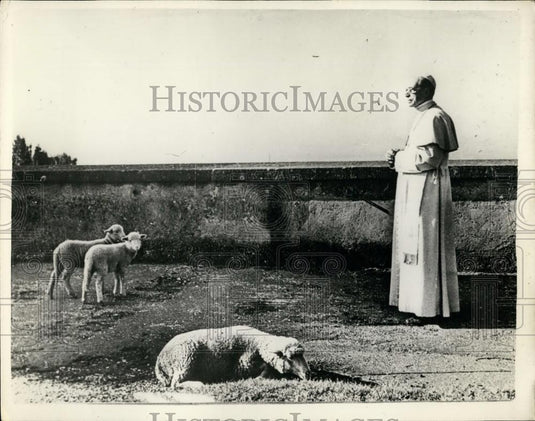 1956 Press Photo Pope Pius XII, Castel Gandolfo - Historic Images