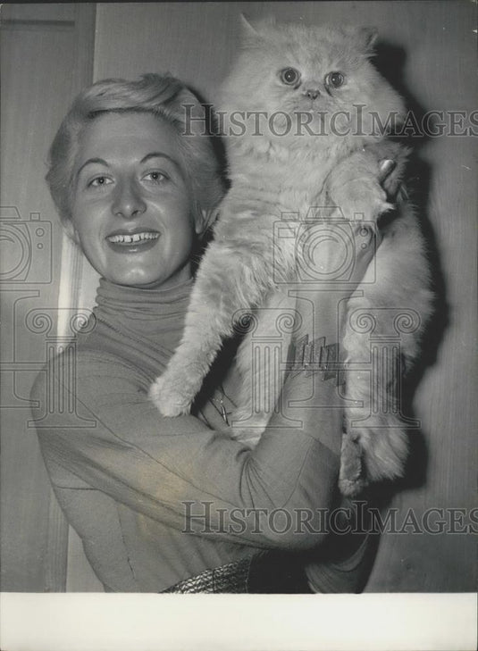 1957 Press Photo A Blue Persian named Dragon - Historic Images