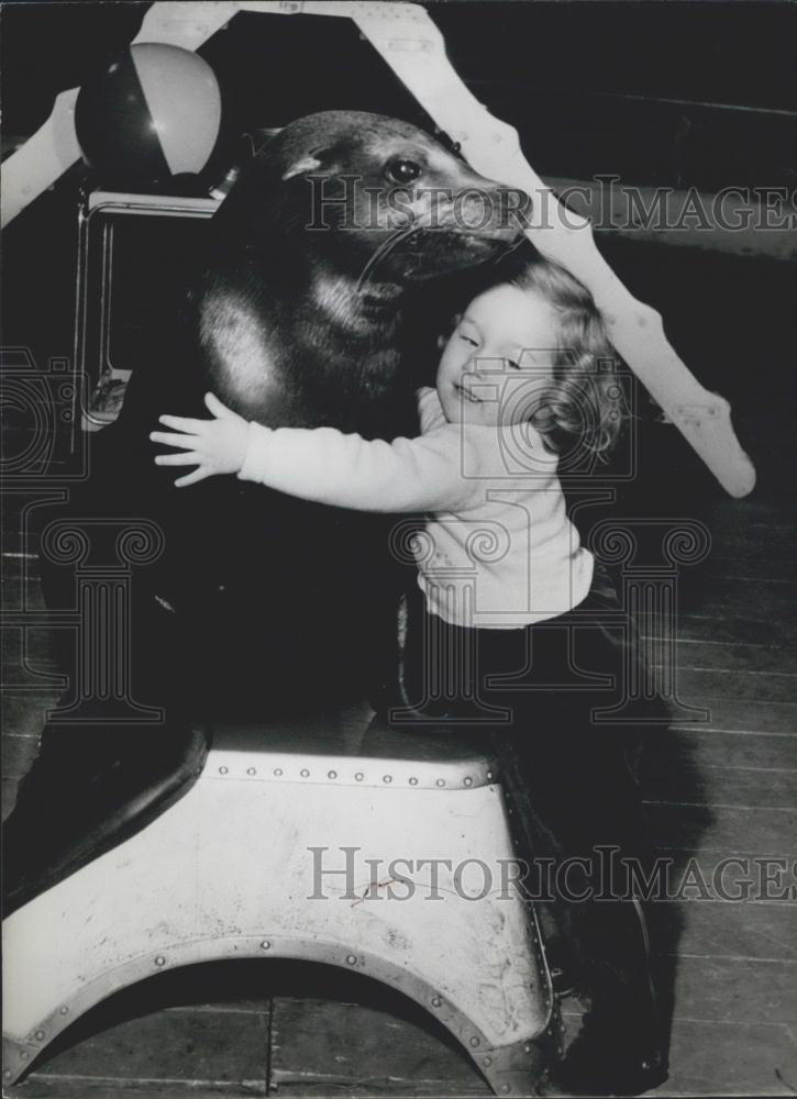 Press Photo Sealions don&#39;t frighten little Bertha - Historic Images