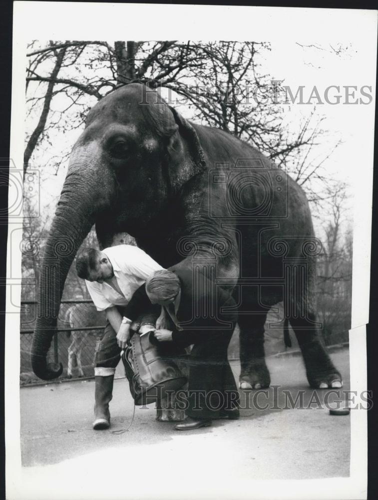 1959 Press Photo Shoemaker Wilfred Hunter With Elephant Shoes On Rusty-London - Historic Images