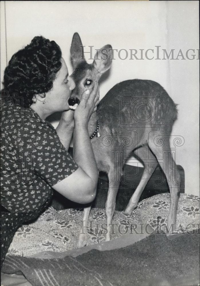 1959 Press Photo Doe Has Found A Home - Historic Images