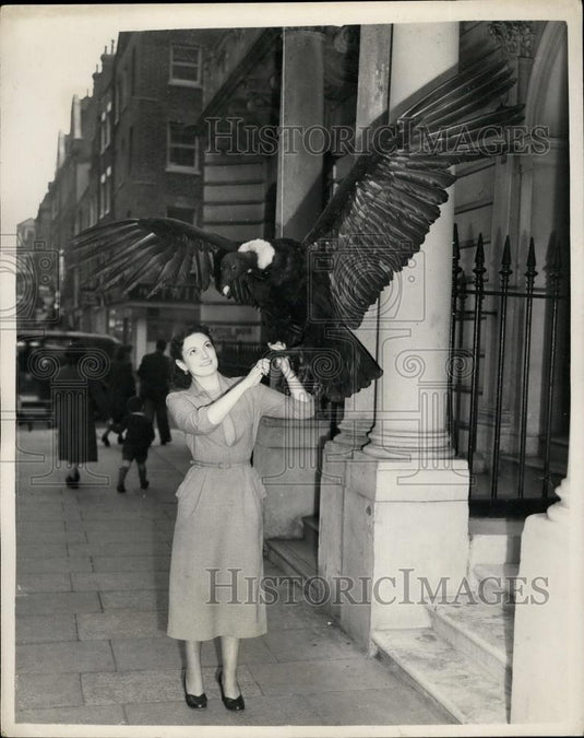 1952 Press Photo Sheila McDuell and a Condor - Historic Images