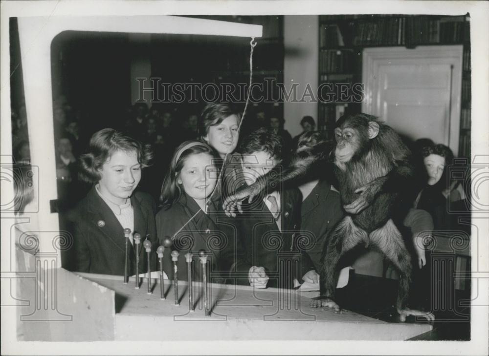 1959 Press Photo Zoological Society of London - Historic Images